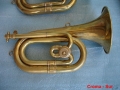 dsc01856.jpg
